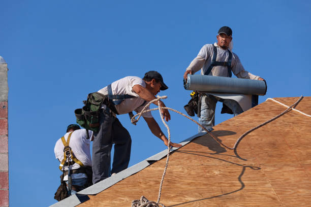 Best Local Roofing Companies  in Oberlin, KS